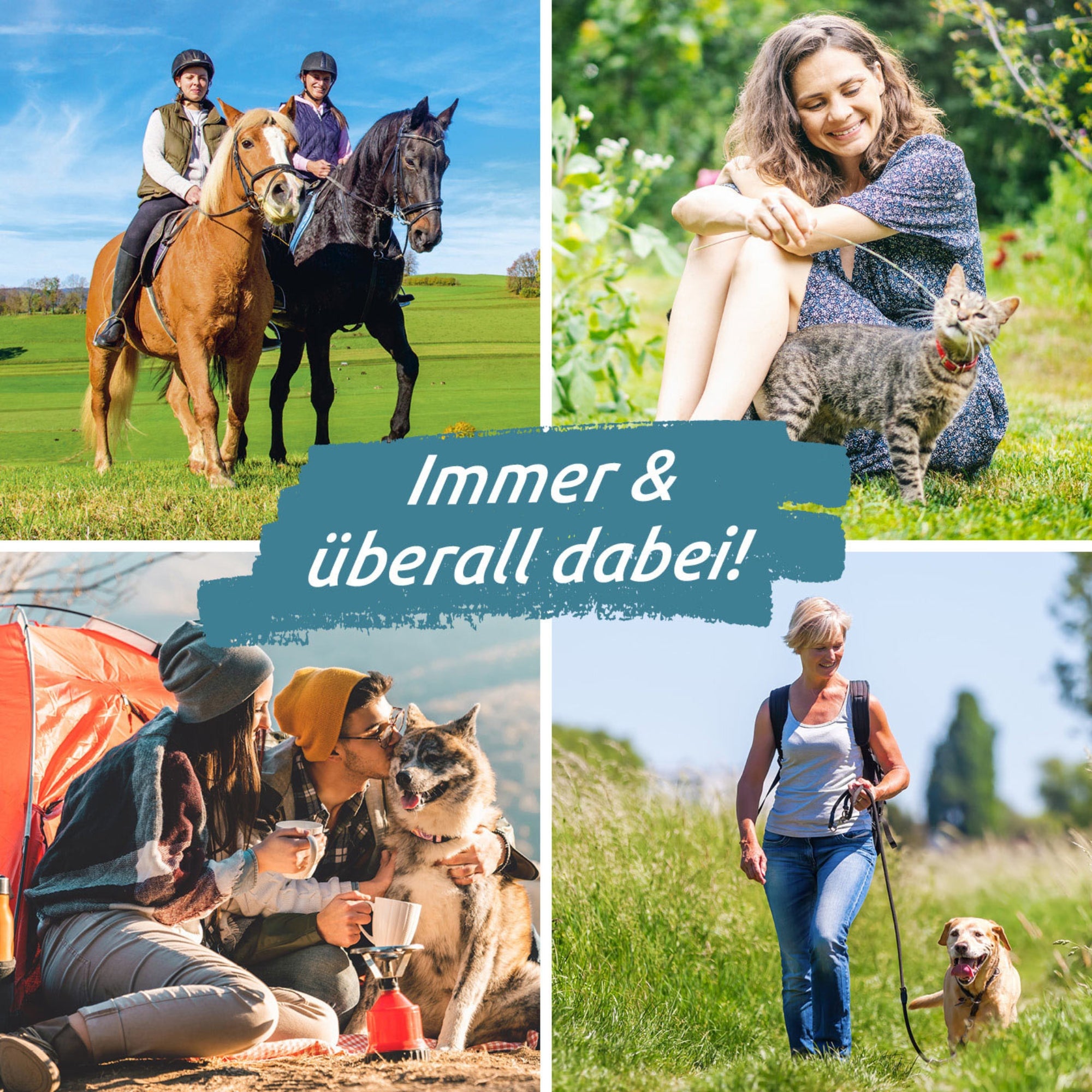 Es sind vier verschiedene Schaubilder zusehen jeweils immer mit Einem Mensch und einem Tier darauf. Alle Bilder spielen in der Natur und in der Mitte auf den Bildern steht "Immer & überall dabei".