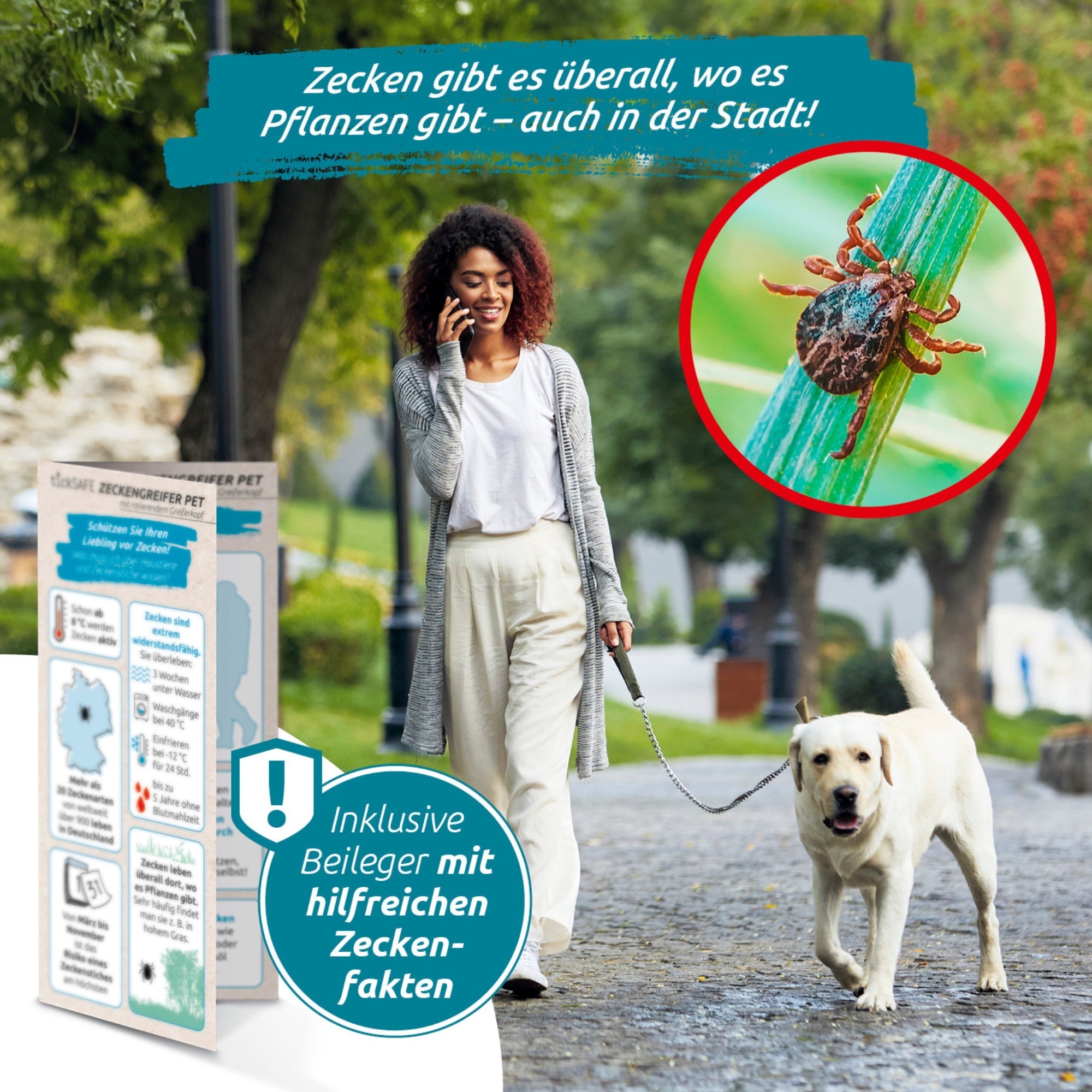 Eine Frau spaziert mit ihrem Hund im Park und und über dem Schaubild ist eine Zecke zu sehen die auf einem Grashalm sitzt. Links neben dem Schaubild ist ein Zettel mit Zecken Fakten zu sehen.