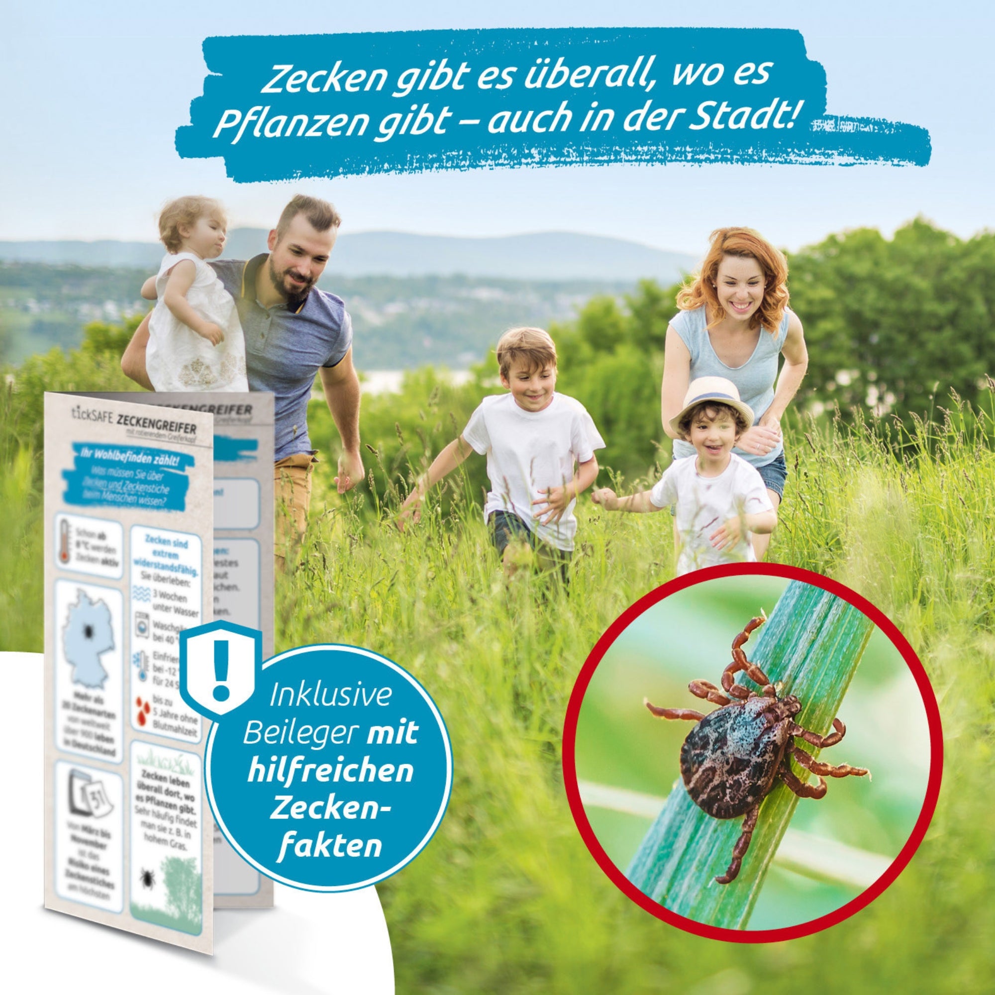 Es ist eine Familie in einer Wiese zu sehen, über dem Schaubild sieht man eine Zecke, welche auf einem Grashalm sitzt. Links neben dem Schaubild ist ein Zettel mit Zecken Fakten zu sehen.