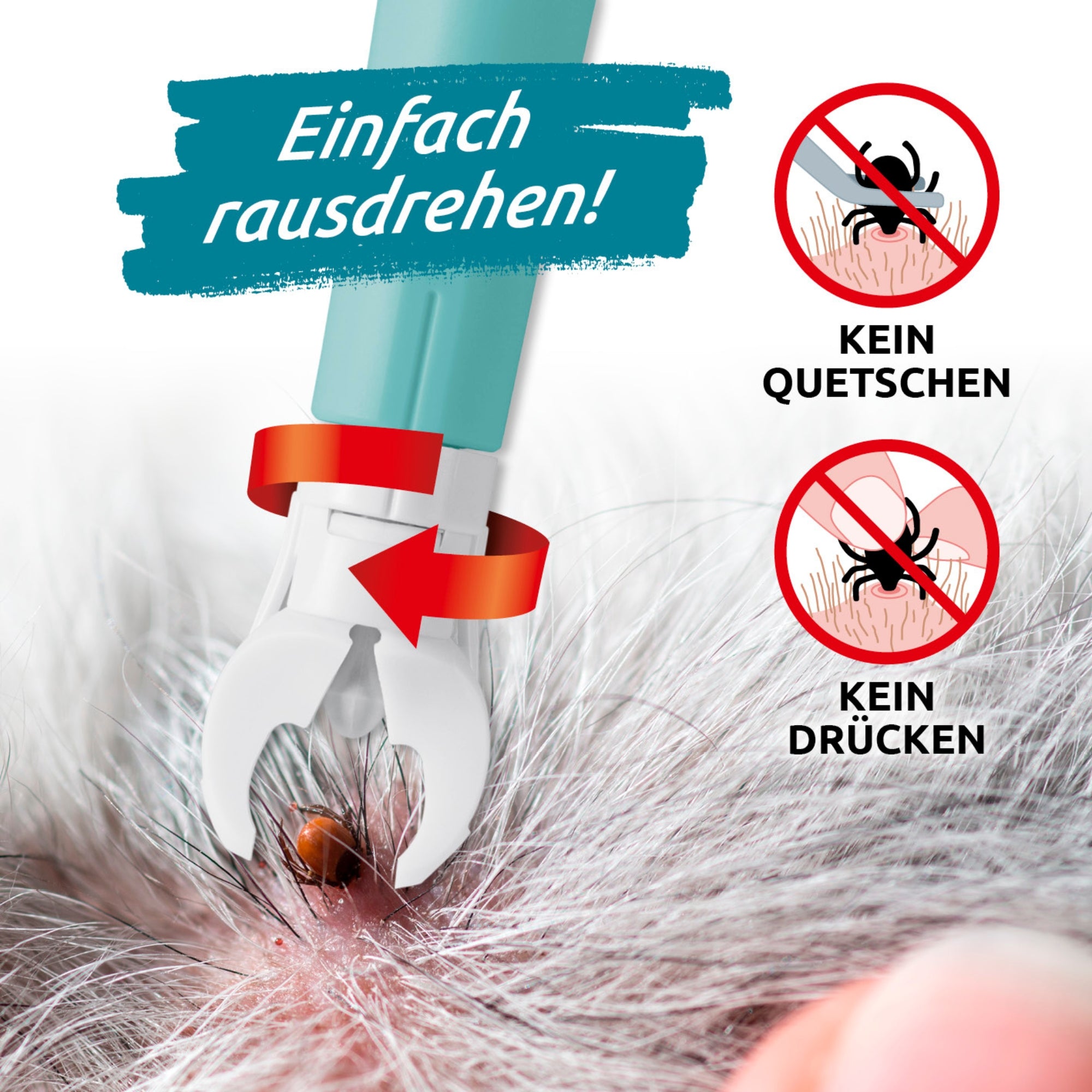 Es ist ein Stück Tierhaut mit Fell zu sehen, in dem sich eine Zecke verhakt hat. Die Zecke soll mit der Zeckenzange herausgedreht werden. Neben dem Schaubild sind zwei kleine Bilder mit Zecken und darunter steht "Kein quetschen" und "Kein drücken".