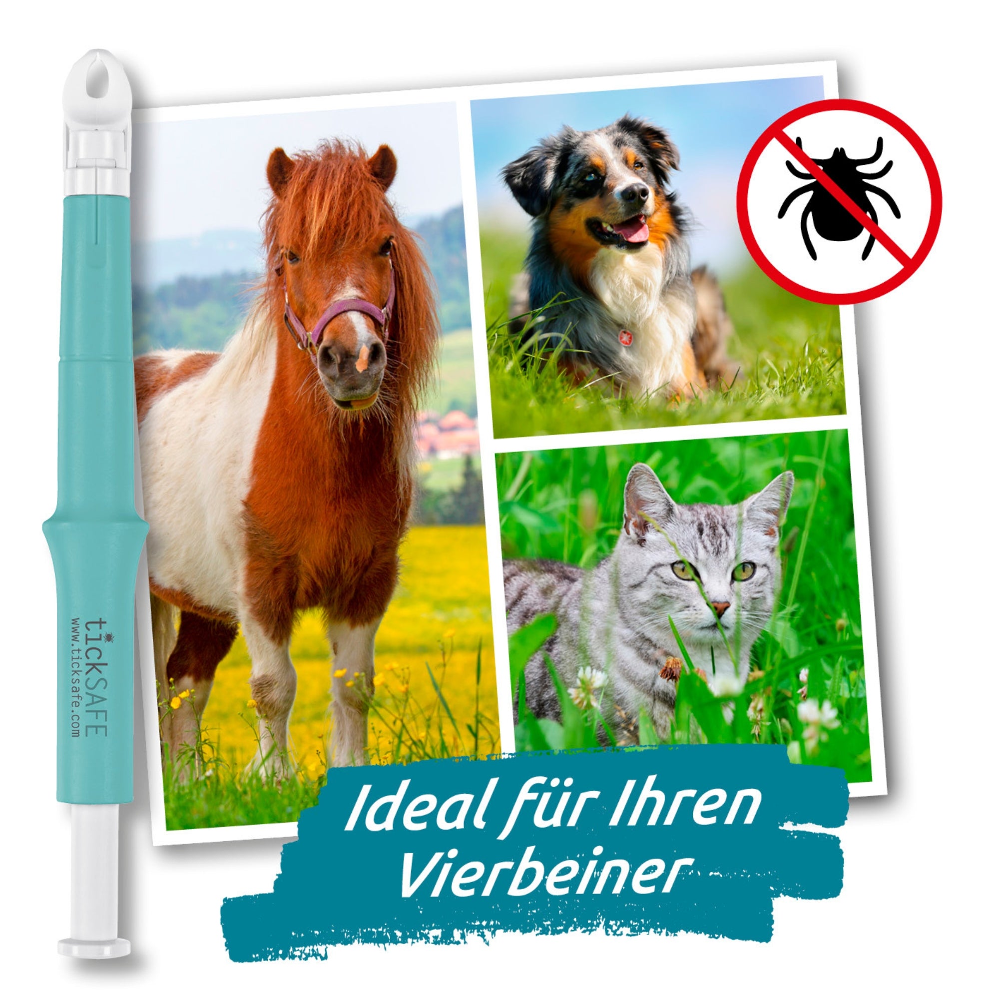Ein Bild auf dem ein Pony, ein Hund und eine Katze zu sehen ist, vorne neben dem Bild ist eine Zecke zu sehen die rot durchgestrichen ist sowie daneben eine Zeckenzange.