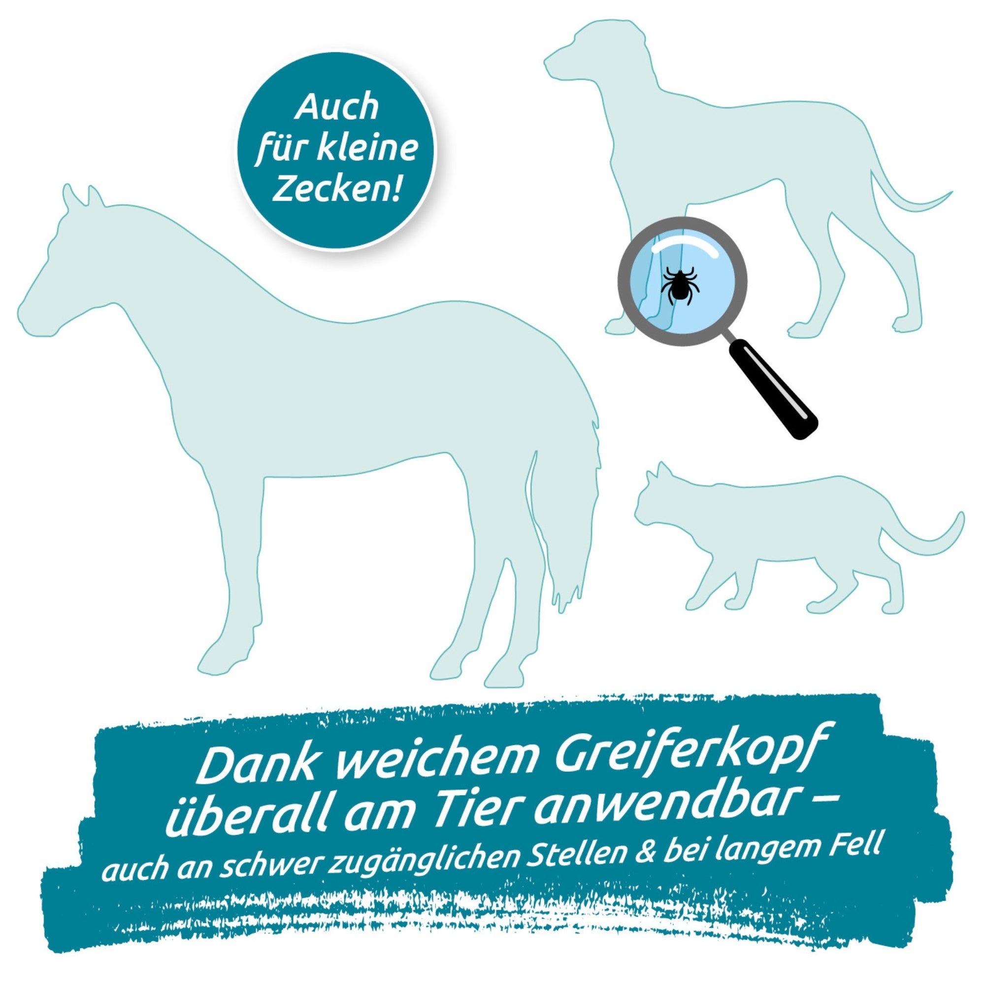 Ein Pferd, ein Hund und eine Katze, wo beim Hund eine Zecke mit einer Lupe vergrößert wird.